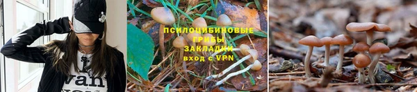гашик Рославль