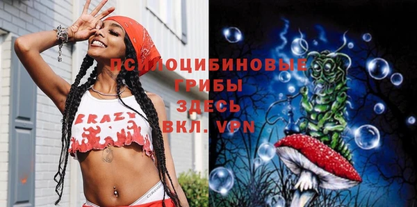 гашик Рославль